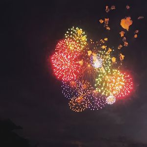 美女脱掉内衣内裤操逼软件大全
